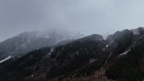Lateral Drone Flight Over Snowy Pine Forest Toward Foggy Alpine Mountain Stock Footage 336297758