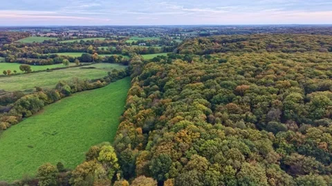 Lateral drone shot of Concise Forest and surrounding fields in Saint-Berthevin Stock Footage 320666942