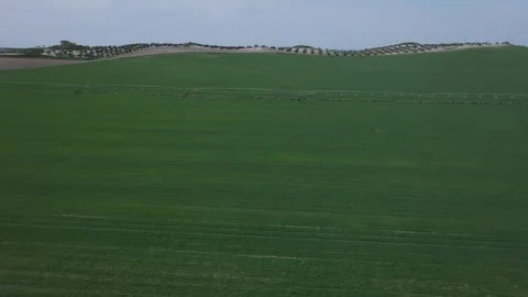 Lateral flight in a crop field with an irrigation structure Vídeos de archivo 277731108