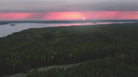 Lateral flight over coniferous forest. Rain against the sunset sky Stock Footage 206416560