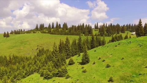 Lateral flight over spring mountains, hills and meadows with pine green forests Video stock 75965248