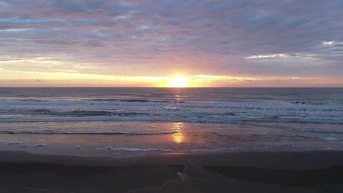 Lateral flight on the shore Stock Footage 117150769