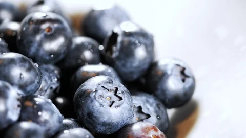 Lateral fresh blueberries background 2 Stock Footage 107215824