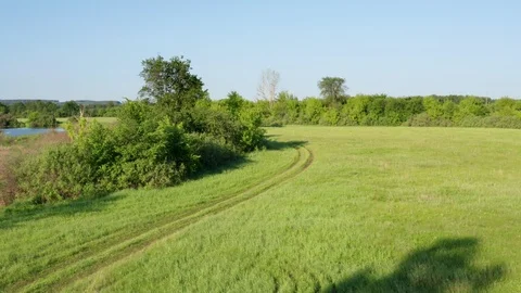 The lateral shot over the meadow. Stock Footage 112001911