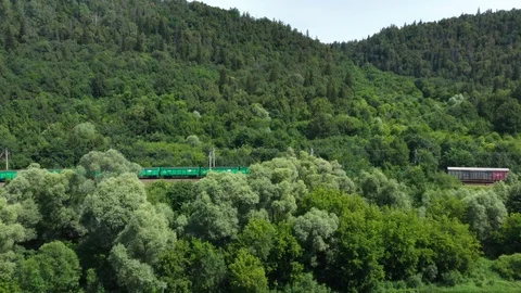 Lateral shot of the train filmed through the trees. 스톡 동영상 112857595