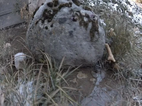 Lateral Slide of Mossy Rock inside Water Puddle, Trentino, Italy Stock Footage 83584612