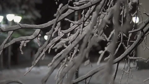 Lateral slider shot.Tree branches covered with snow.Winter night in the Forest 스톡 동영상 166796937