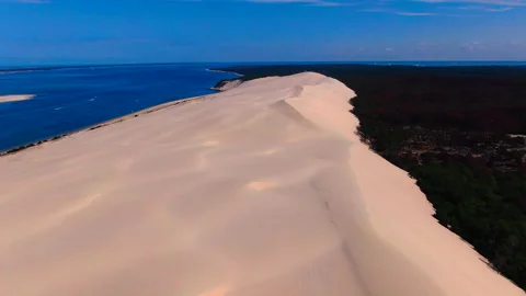 Lateral tracking with dune left and forest right, La Teste-de-Buch Vídeos de archivo 332065334