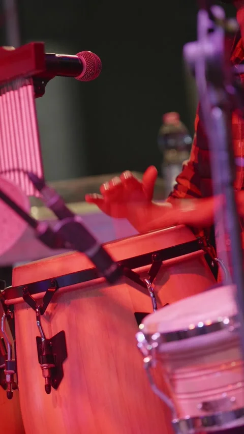 Lateral View of Hands Playing Percussion Instruments at Concert Stock Footage 289001278