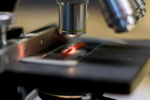 Lateral view of a microscope while analyzing an intertwining of threads. Stock Photos