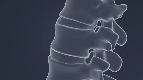 Lateral view of spine bones X-ray of 3D illustration Stock Illustration