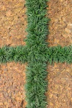 Laterite and green leaf Stock Photos