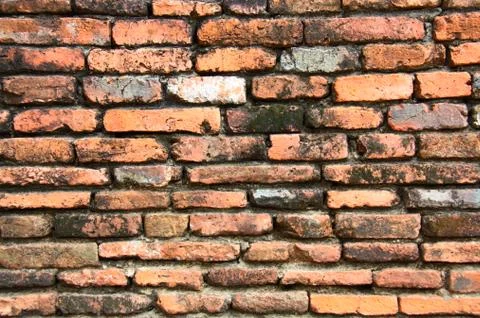 Laterite block in the garden, texture of laterite use as background and backd Stock Photos