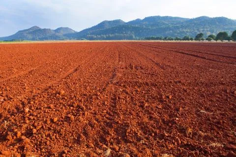 Laterite soil texture Stock Photos