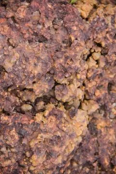 Laterite stone background Stock Photos