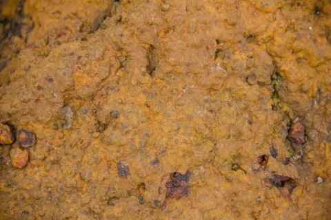 Laterite stone background Stock Photos