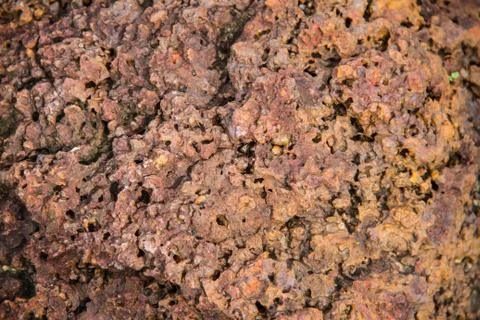 Laterite stone background Stock Photos