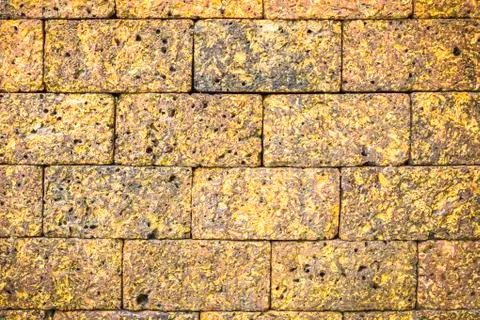 Laterite stone wall Stock Photos