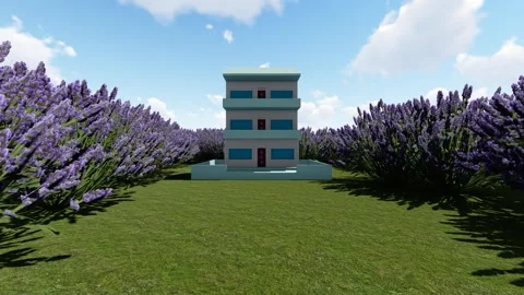 Latest Forest Building in Forest Stock Footage 346961874