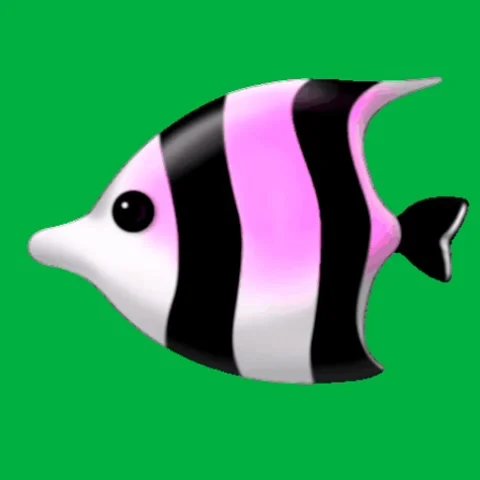 The latest green screen material is beautiful fish Stock Footage 162874949