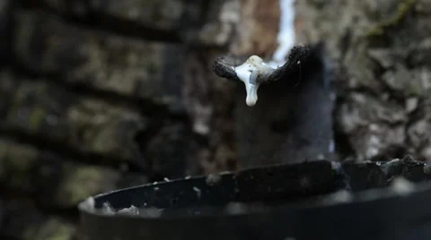 Latex dripping Stock Footage 52372763