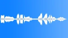 LATHE, WOODSound Effect