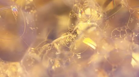 Lather. Abstract Background from Bubbles and Soap Foam.  Foto stock
