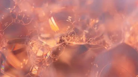 Lather. Abstract Background from Bubbles and Soap Foam.  Stock Photos