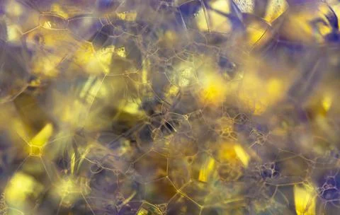 Lather. Abstract Background from Bubbles and Soap Foam.  Stock-Fotos