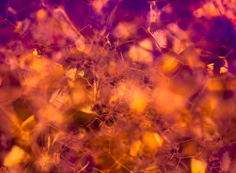 Lather. Abstract Background from Bubbles and Soap Foam. Stock-Fotos
