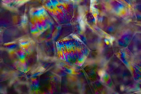Lather. Abstract Background from Bubbles and Soap Foam.  Foto stock