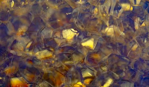 Lather. Abstract Background from Bubbles and Soap Foam.  Stock Photos