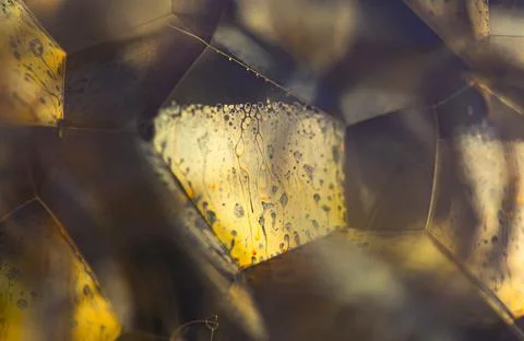 Lather. Abstract Background from Bubbles and Soap Foam.  Stock Photos