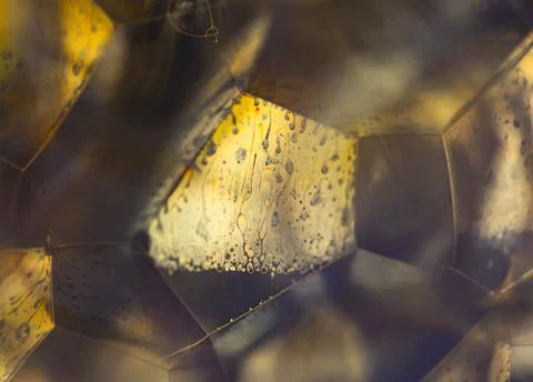 Lather. Abstract Background from Bubbles and Soap Foam.  Stock Photos