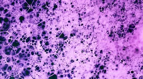 Lather. Abstract Background from Bubbles and Soap Foam.  스톡 사진