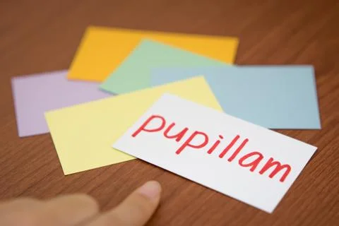 Latin; Learning New Language with the Flaish Card (Translation; Apple) Stock Photos