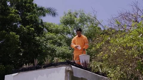 Latin Worker Applies Organic Liquid Fertilizer to Rooftop Garden in Mexico City Stock Footage 346643587