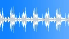 Latino Charm - Saucy Bongos Stock Music