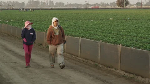 Latino Field Workers going to work Stock Footage 52085724