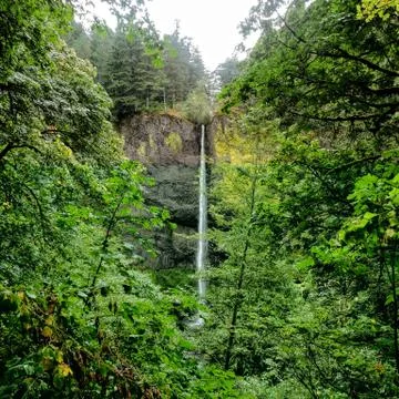 Latourell Falls Historic Columbia River Gorge Highway Oregon Washington Foto stock
