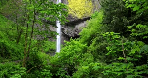 Latourell Falls Oregon. Stock Footage 203314977