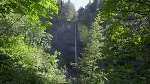 Latourell Falls Oregon Stock Footage 265723072