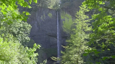 Latourell Falls Oregon Stock Footage 265723079