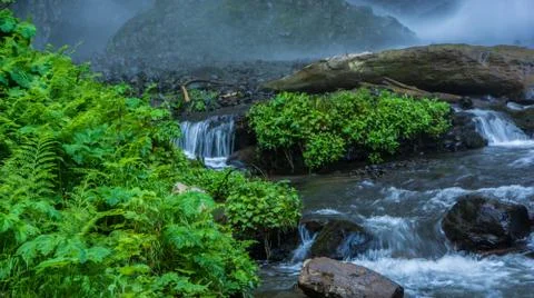 Latourell Falls Stock Photos