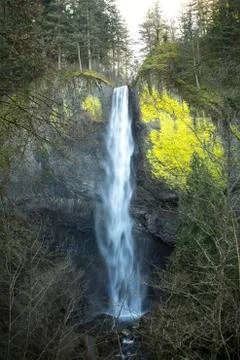Latourell falls Stock Photos
