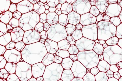 Lattice Stock Photos