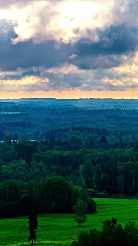 Latvia aerial changing clouds sunset endless forest vertical timelapse Stock Footage 343008555