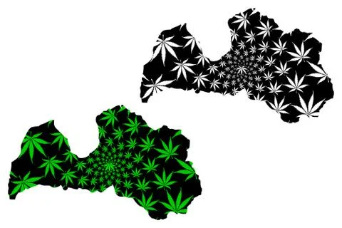 Latvia - map is designed cannabis leaf Stock Illustration