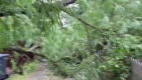 Latvia: Rare Summer Storm Downs Trees In Riga Stock Footage 280411949
