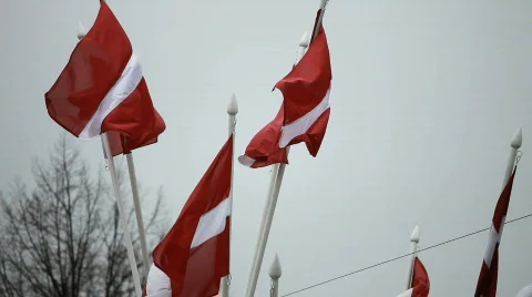 Latvian flags Stock Footage